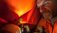 New Zealand Conservation Ranger