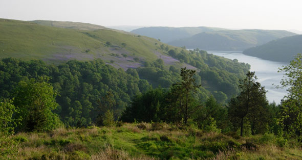 Lasswade Scenery Lasswade Scenery