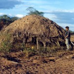 Destruction of hiding tribes forest