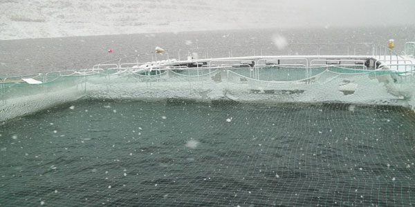 Aquaculture Aquaculture