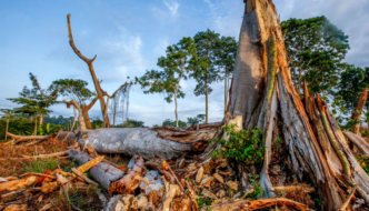 ivory coast - climate change